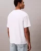 Calvin Klein Logo Erkek Beyaz T-shirt LV04LC206G-YAF