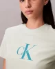 CK Jeans HR SS CLSSC MNLG CNC Kadın  T-shirt LV047B865G-NF1