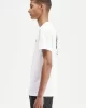 Fred Perry REAR POWDER LAUREL GRAPHIC TEE Erkek  T-shirt M7784-100
