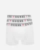 Guess BRIAN HERO BOXER TRUNK 3 PACK Erkek Beyaz Boxer U97G01KCD31-A009