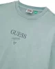 Guess Go Prınted Baker Logo Tee Erkek Gri T-Shirt M5GI69K8FQ4-F8NL