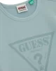 Guess GO VINTAGE TRIANGLE SLIM TEE Kadın Gri T-shirt W5GI32J1314-F8NL