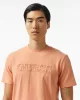 Guess SS ALPHY T-SHIRT Erkek Beyaz T-shirt Z2YI11J1314-G3I1