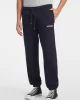 Guess Jeans GJ AMERICAN TRADITION JOGGER Erkek Lacivert Eşofman Altı M4YB18K9V31-A71W