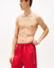 Tommy Hilfiger MEDIUM DRAWSTRING Erkek kırmızı Mayo UM0UM03258XLD