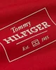 Tommy Hilfiger MONOTYPE PRINTED LABEL TEE Erkek kırmızı T-shirt MW0MW37454XLD