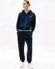Tommy Hilfiger REG SCRIPT ZIP HOODIE Kadın  Eşofman Üstü WW0WW44632C1G