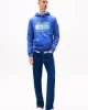 Tommy Jeans TJM REG DNA FLAG TWIST HOOD EXT Erkek MAVİ Sweatshirt DM0DM21100C6E