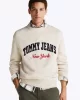 Tommy Jeans TJM REG VARSITY CREW SWEATER EXT Erkek beyaz Kazak DM0DM21114ACG