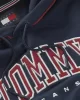 Tommy Jeans Erkek Lacivert Relaxed Baskılı Sweats
