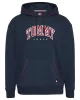 Tommy Jeans Erkek Lacivert Relaxed Baskılı Sweats