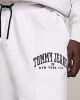 Tommy Jeans Erkek Relax Varsity Eşofman Altı
