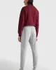 Tommy Hilfiger TOMMY LOGO SWEATPANTS Erkek beyaz Eşofman Altı MW0MW08388P01