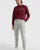 Tommy Hilfiger TOMMY LOGO SWEATPANTS Erkek beyaz Eşofman Altı MW0MW08388P01