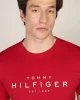 Tommy Hilfiger BIG HILFIGER TEE Erkek kırmızı T-shirt MW0MW37448XLD