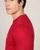 Tommy Hilfiger BIG HILFIGER TEE Erkek kırmızı T-shirt MW0MW37448XLD