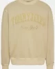 Tommy Jeans TJM RLX VINTAGE VARSITY CREW Erkek BEJ Sweatshirt DM0DM20262ACT