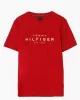 Tommy Hilfiger BIG HILFIGER TEE Erkek kırmızı T-shirt MW0MW37448XLD