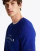 Tommy Hilfiger BIG HILFIGER TEE Erkek mavi T-shirt MW0MW37448D03