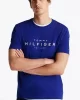 Tommy Hilfiger BIG HILFIGER TEE Erkek mavi T-shirt MW0MW37448D03