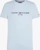Tommy Hilfiger TOMMY LOGO TEE Erkek mavi T-shirt MW0MW11797C1O