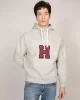 Tommy Jeans TJM TERRY HOODIE GREY MELANGE Erkek gri Sweatshirt DM0DM21259P01