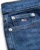 Tommy Jeans IZZIE HGH SLM STR  ANK DH5155 Kadın DENIM Jeans DW0DW195261BK