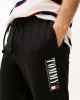 Tommy Jeans Dna Graphics Erkek Siyah Eşofman Altı  DM0DM22145BDS
