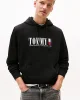 Tommy Jeans Dna Graphics Erkek Siyah Kapüşonlu Sweatshirt DM0DM22144BDS