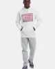 Tommy Jeans TJM REG DNA FLAG TWIST HOOD EXT Erkek beyaz Sweatshirt DM0DM21100YBL