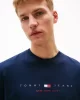 Tommy Jeans TJM REG FLAG LINEAR SS TEE EXT Erkek Mavi T-shirt DM0DM21911C1G