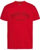 Tommy Jeans TJM REG VINTAGE VARSITY TEE Erkek KIRMIZI T-shirt DM0DM20356XME