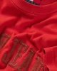 Tommy Jeans TJM REG VINTAGE VARSITY TEE Erkek KIRMIZI T-shirt DM0DM20356XME