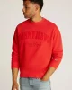 Tommy Jeans TJM RLX VINTAGE VARSITY CREW Erkek KIRMIZI Sweatshirt DM0DM20262XME
