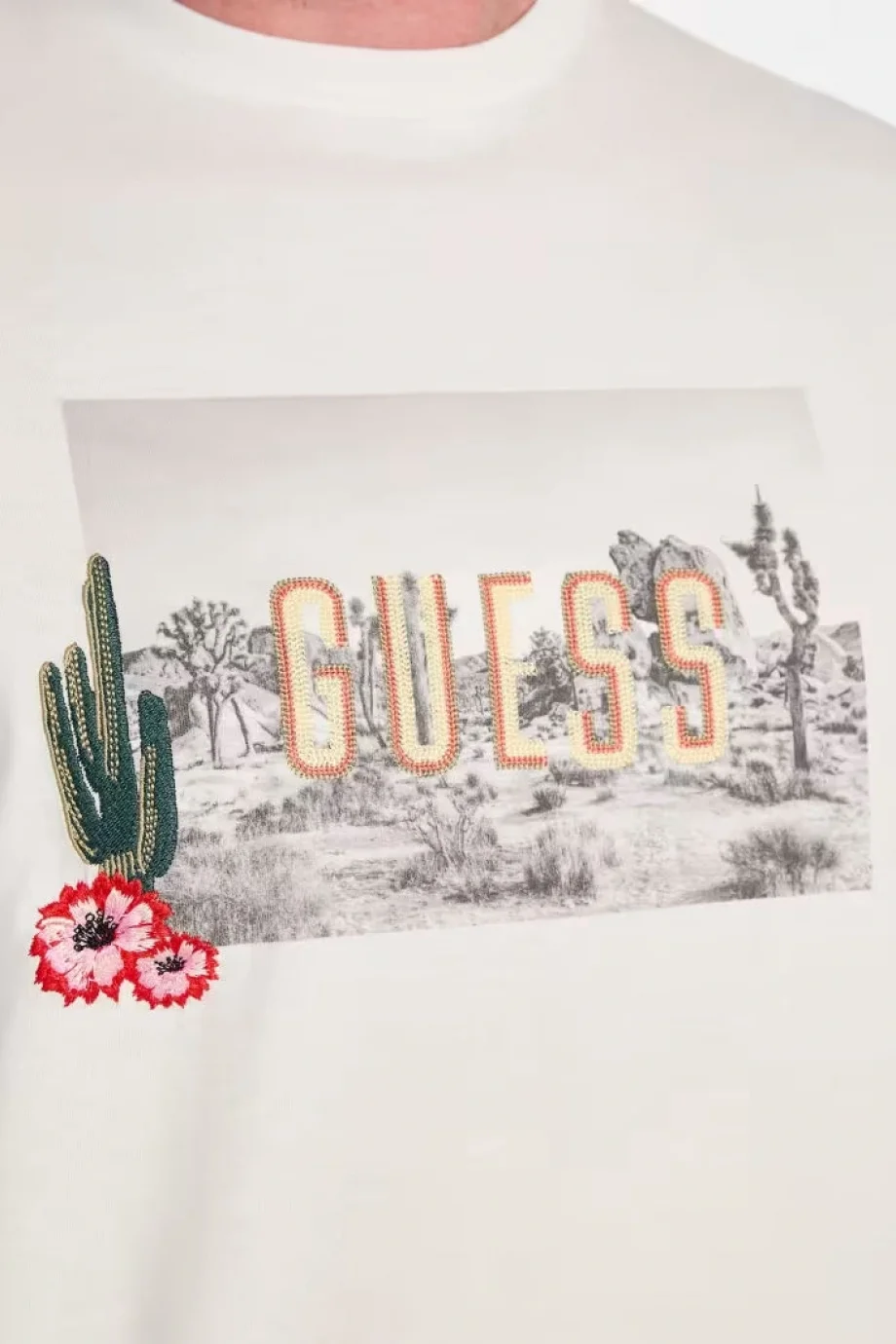 Guess Cactus Erkek Beyaz Regular Fit T-Shirt M5YI45KBW41-G018