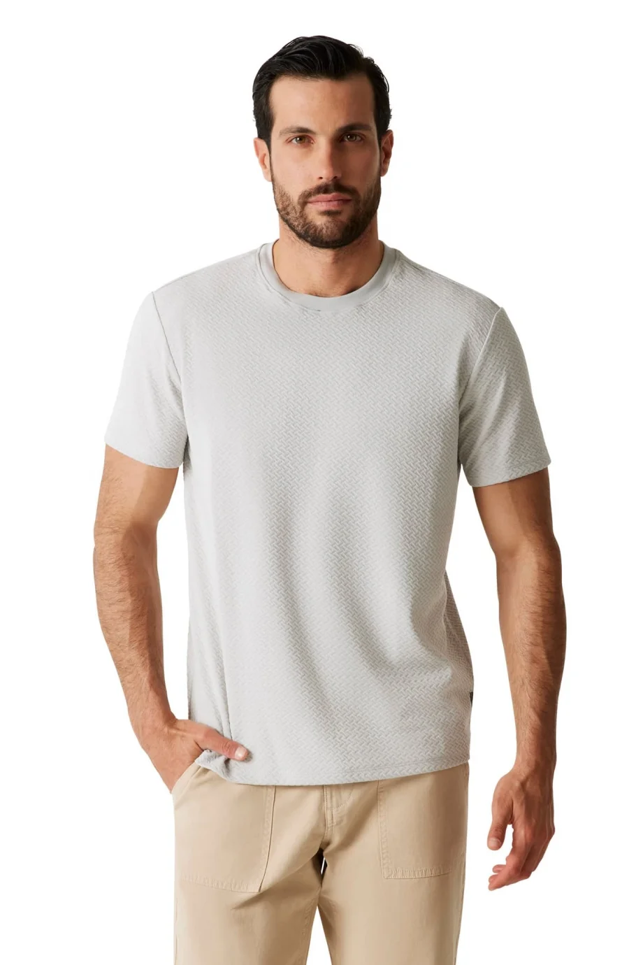 Guess Kısa Kollu Blake Dokulu Bisiklet Yaka Erkek Gri  T-Shirt  M6RP33KB170-A92E