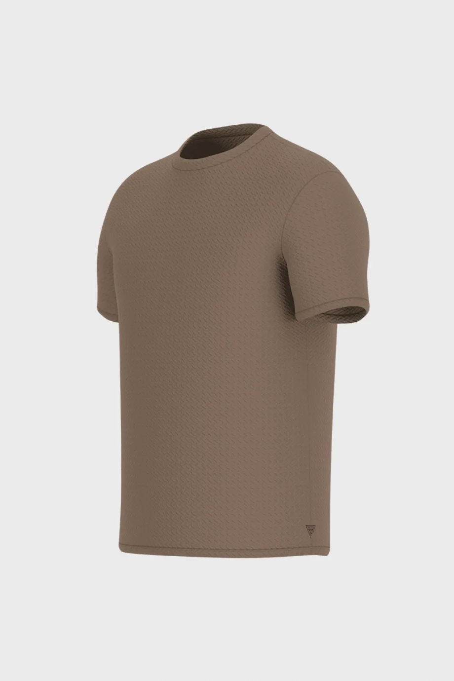 Guess Kısa Kollu Blake Dokulu Bisiklet Yaka Erkek Kahverengi T-Shirt  M6RP33KB170-G1DY