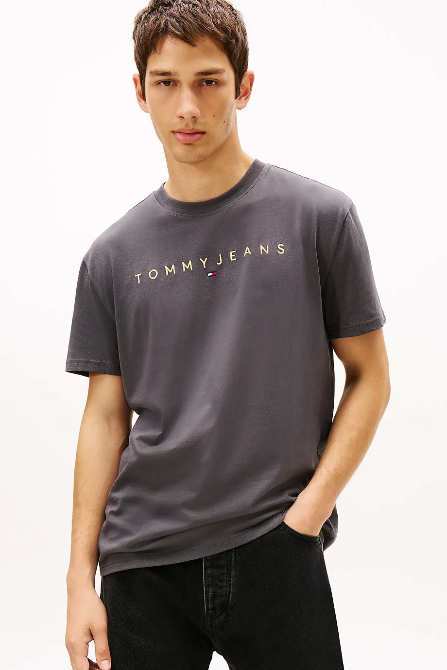 Tommy Hilfiger Erkek Gri Regular Fit T-Shirt