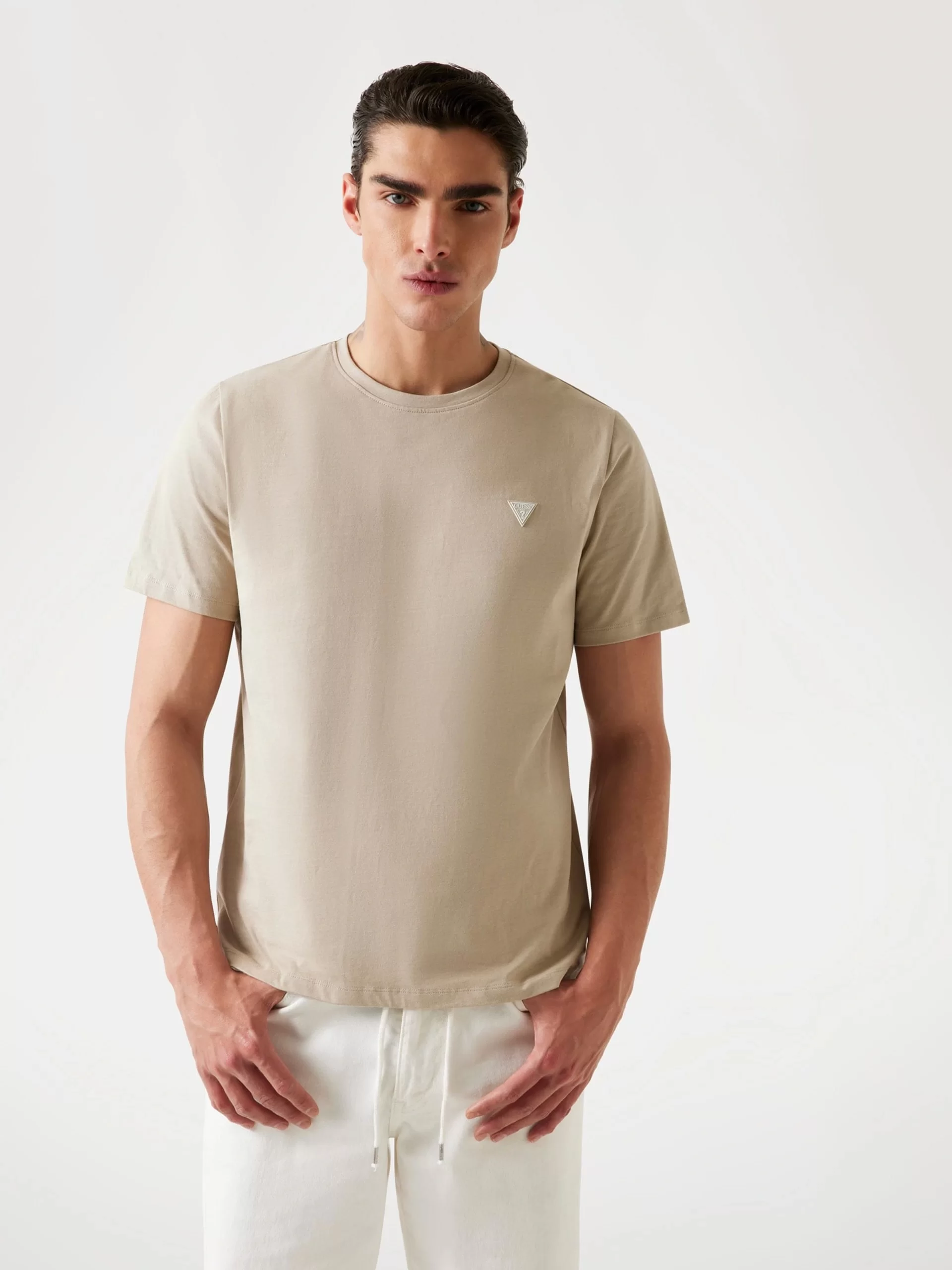 Guess Ss Cn Patch Erkek Bej Regular Fit T-Shirt M4YI0AKCCM1-G1CA