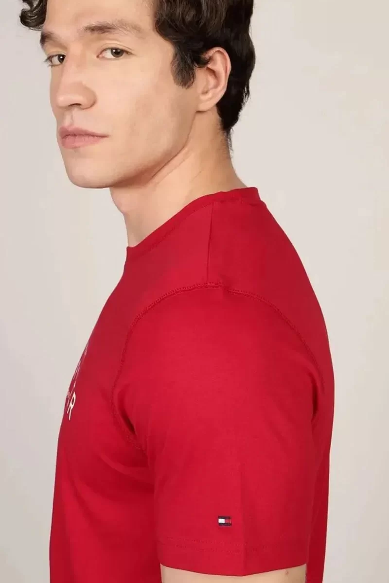 Tommy Hilfiger BIG HILFIGER TEE Erkek kırmızı T-shirt MW0MW37448XLD