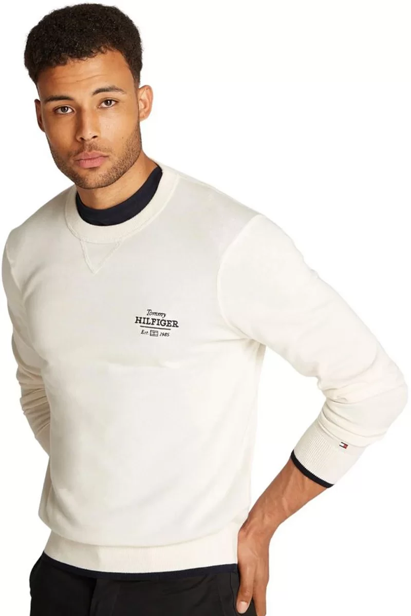 Tommy Hilfiger GRAPHIC  COTTON CREW Erkek krem Kazak MW0MW38336Z00