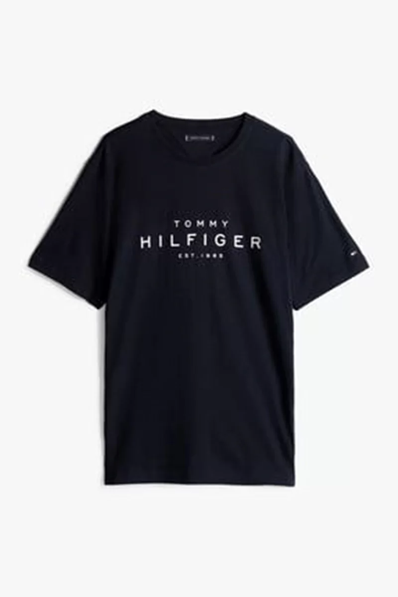 Tommy Hilfiger BIG HILFIGER TEE Erkek lacivert T-shirt MW0MW37448DW5