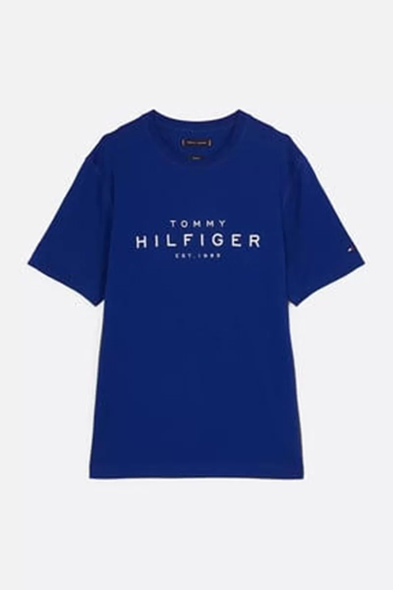 Tommy Hilfiger BIG HILFIGER TEE Erkek mavi T-shirt MW0MW37448D03