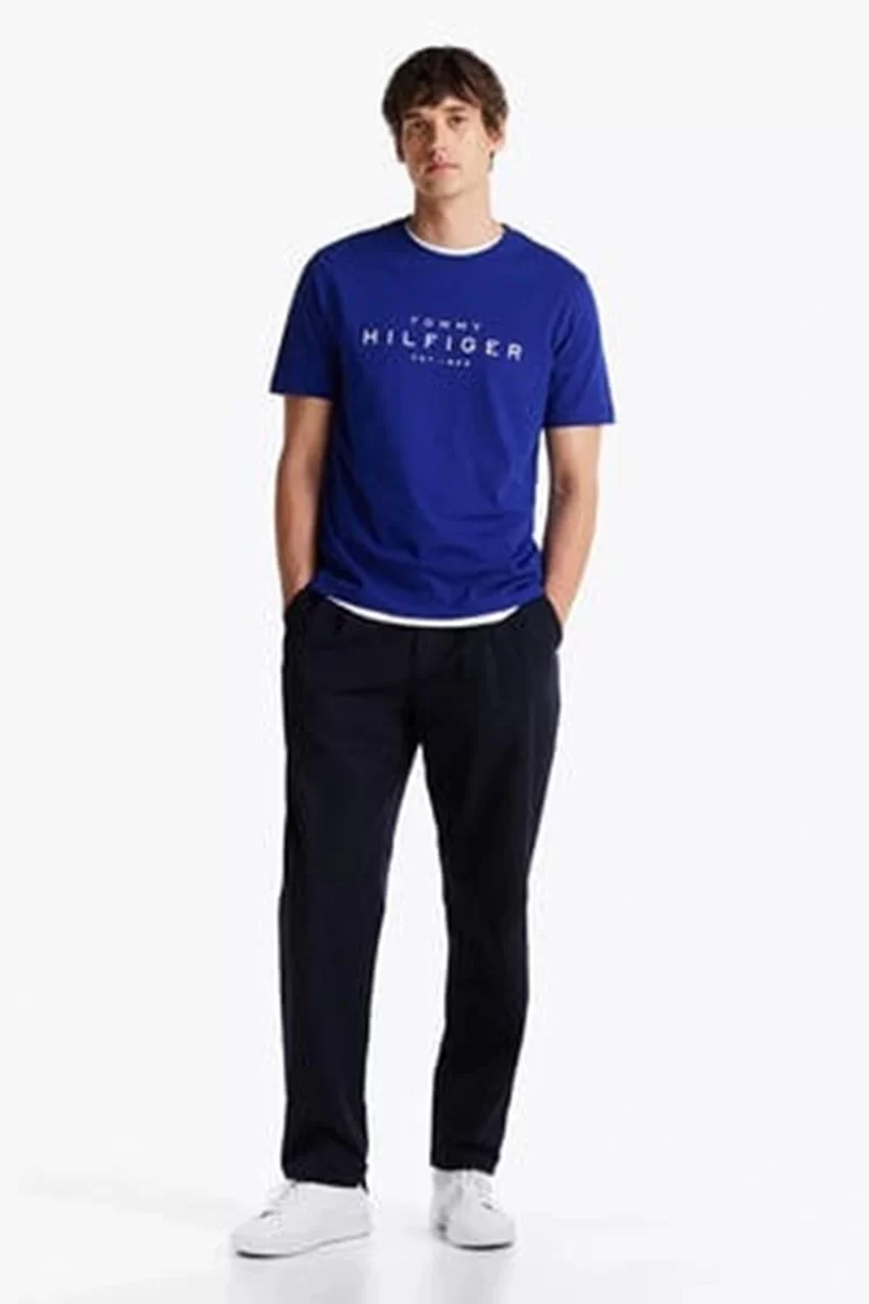 Tommy Hilfiger BIG HILFIGER TEE Erkek mavi T-shirt MW0MW37448D03