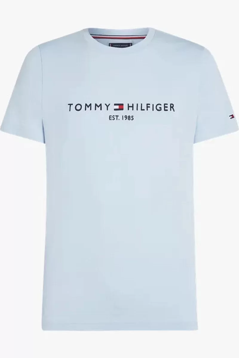 Tommy Hilfiger TOMMY LOGO TEE Erkek mavi T-shirt MW0MW11797C1O