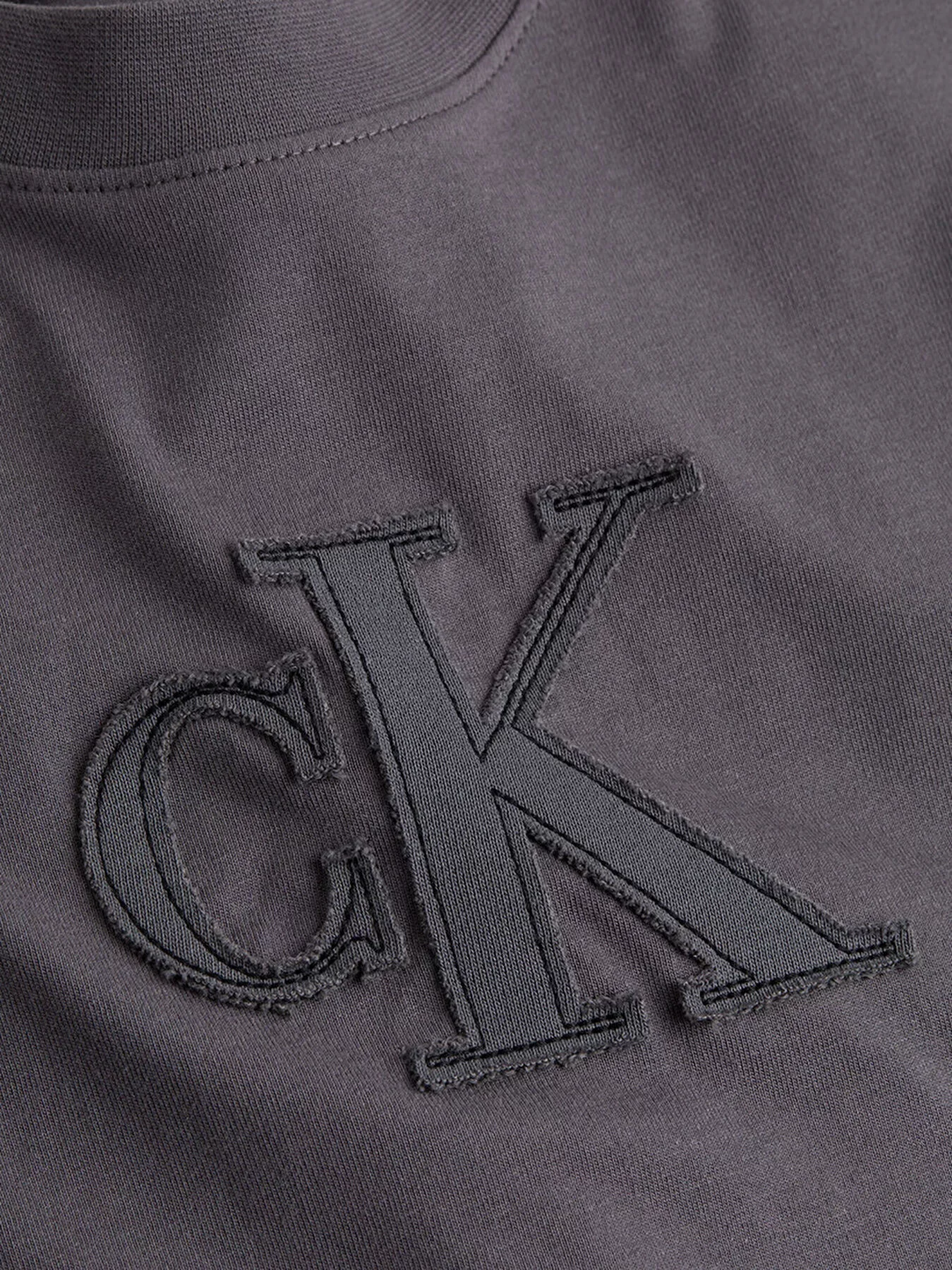 CK Jeans CK APPLIQUE REGULAR TEE Kadın  T-shirt J20J225256-AEA