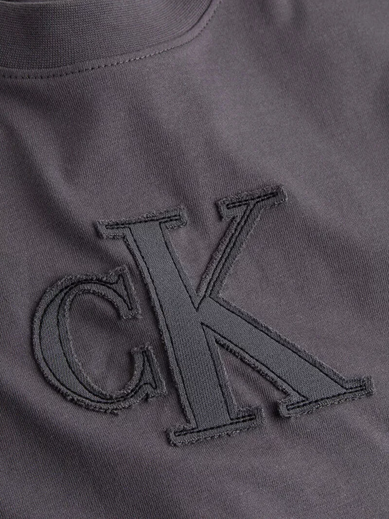 CK Jeans CK APPLIQUE REGULAR TEE Kadın  T-shirt J20J225256-PMP