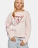 CN ICON SWEATSHIRT