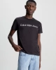 Calvin Klein Erkek Core Logolu Siyah T-Shirt