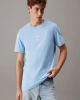 Calvin Klein Erkek Monogram Mavi T-shirt